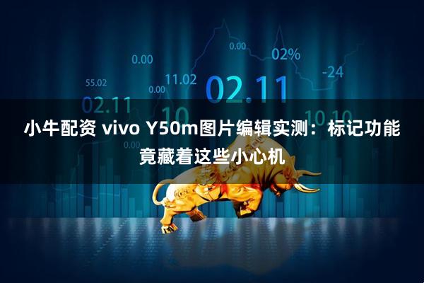 小牛配资 vivo Y50m图片编辑实测：标记功能竟藏着这些小心机